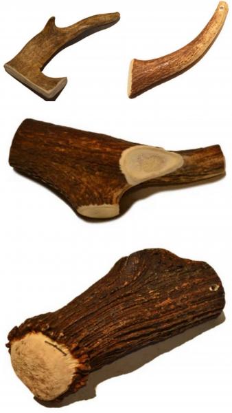 Hirsch-Geweih